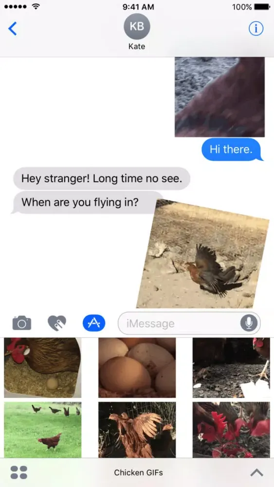صور Chicken GIFs