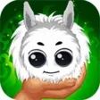 Kuri Pets