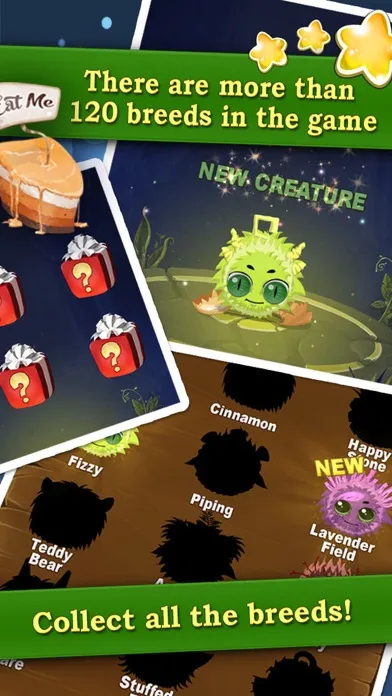 Captures d'écran de Kuri Pets