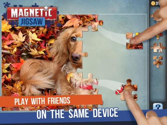 Magnetic Jigsaw iPad 应用截图