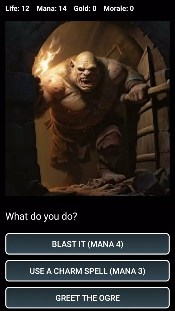 Dungeons and Decisions RPG Ekran Görüntüleri
