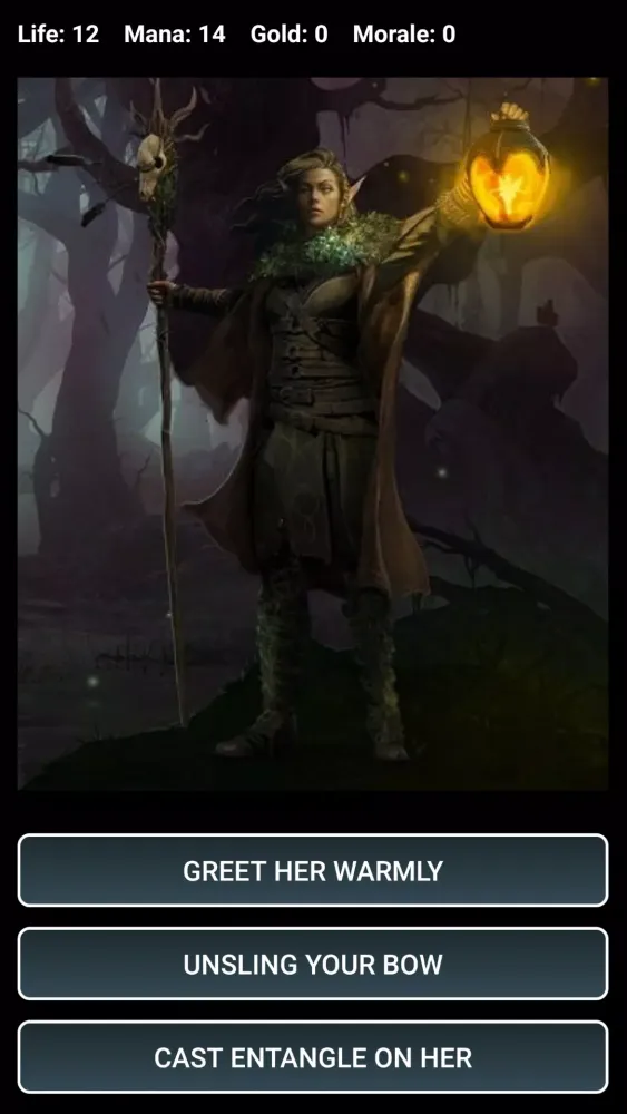 Dungeons and Decisions RPG Ekran Görüntüleri