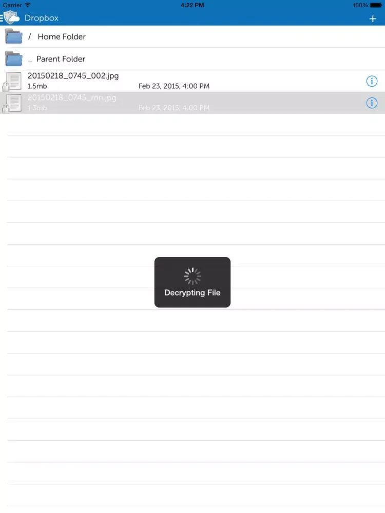 تصاویر Dell Data Protection | Cloud Edition iPad 