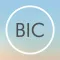 DELTA BIC Zone