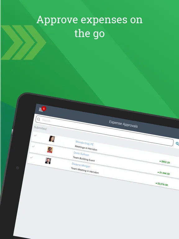 Deltek T&E for Vantagepoint iPad  스크린샷