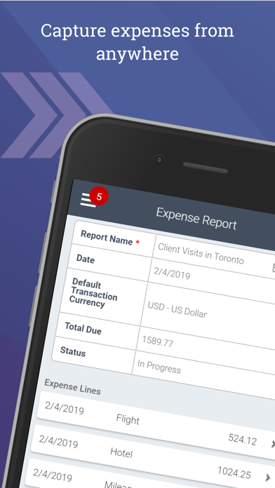 صور Deltek T&E for Vantagepoint