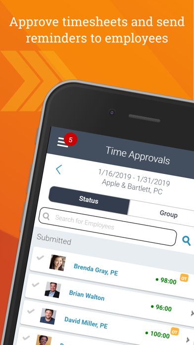 صور Deltek T&E for Vantagepoint