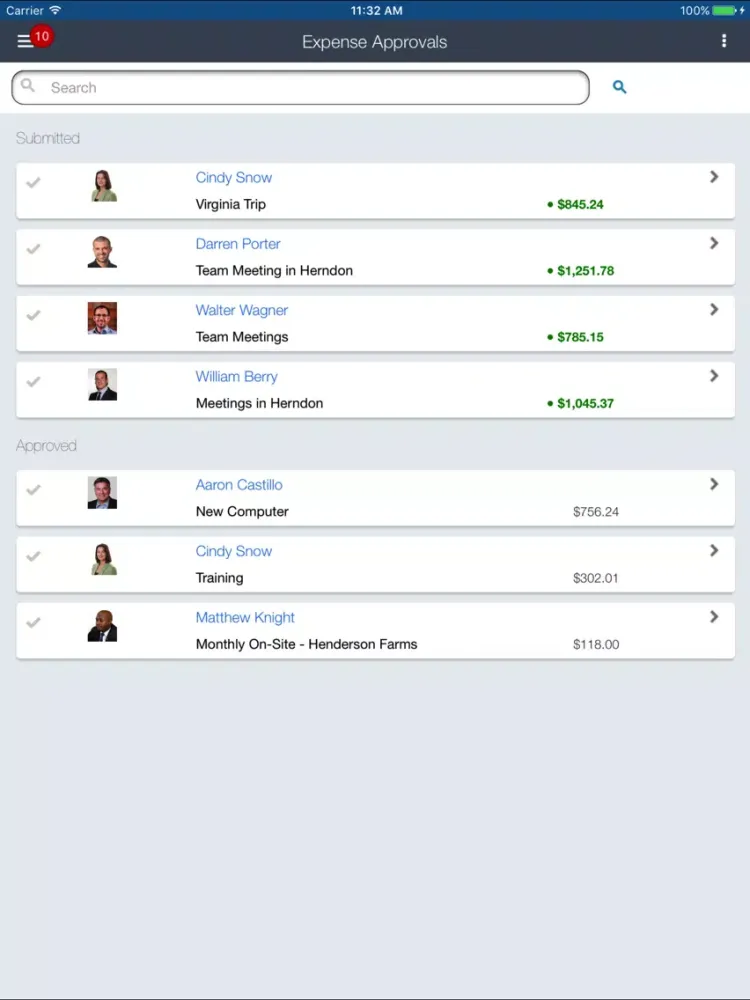 Deltek T&E for PS iPad  स्क्रीनशॉट