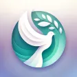 Positive Mind - Manifest Positive Mind - Manifest