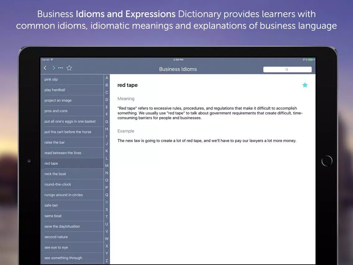 ภาพหน้าจอของ Business Idioms & Expressions iPad 