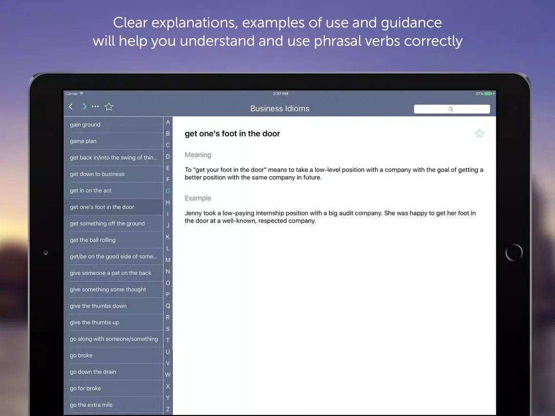 ภาพหน้าจอของ Business Idioms & Expressions iPad 