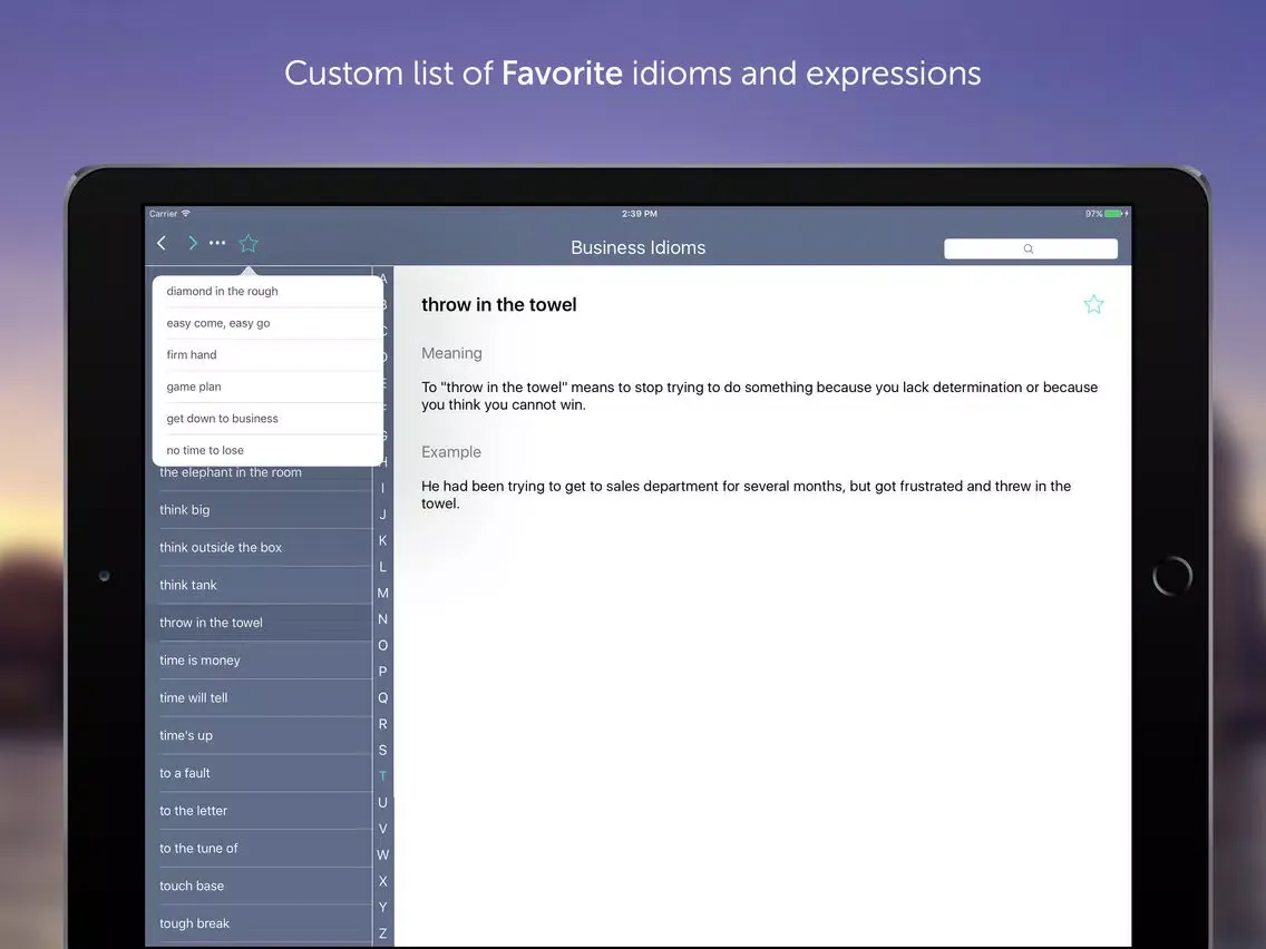 ภาพหน้าจอของ Business Idioms & Expressions iPad 