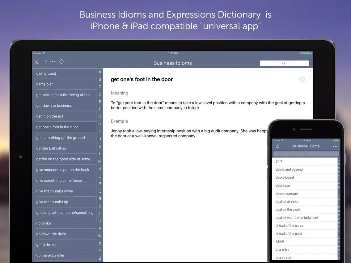 ภาพหน้าจอของ Business Idioms & Expressions iPad 