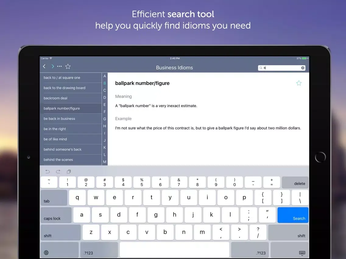 ภาพหน้าจอของ Business Idioms & Expressions iPad 