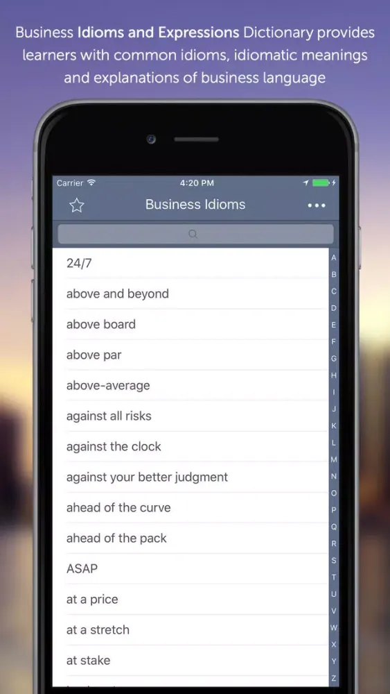 ภาพหน้าจอของ Business Idioms & Expressions
