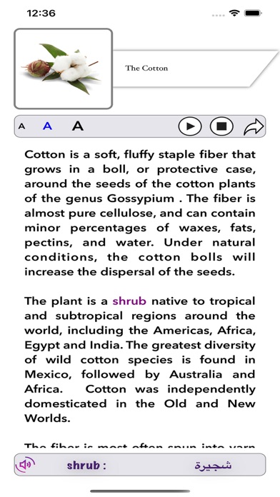 Englisho Screenshots
