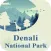 Best Denali National Park