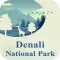 Best Denali National Park