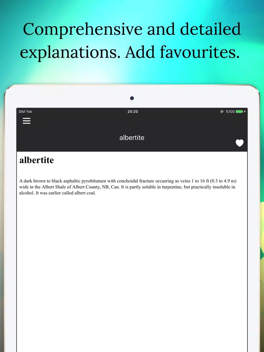Mining Dictionary Offline iPad 应用截图