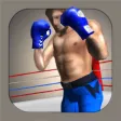 Steely Boxer Steely Boxer
