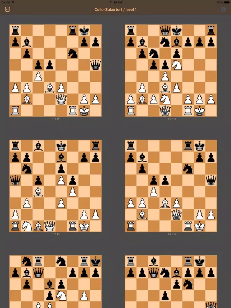 Maria's Chess iPad  Screenshots