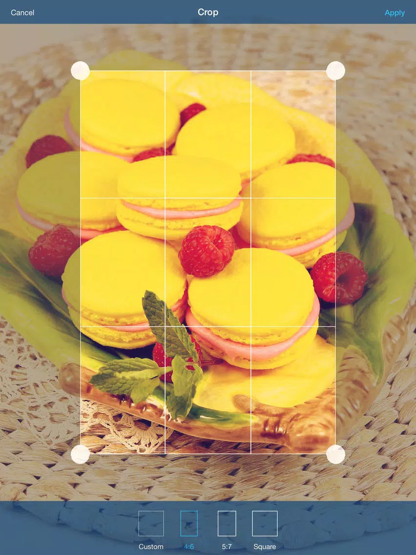 Photomatica Pro iPad  Screenshots