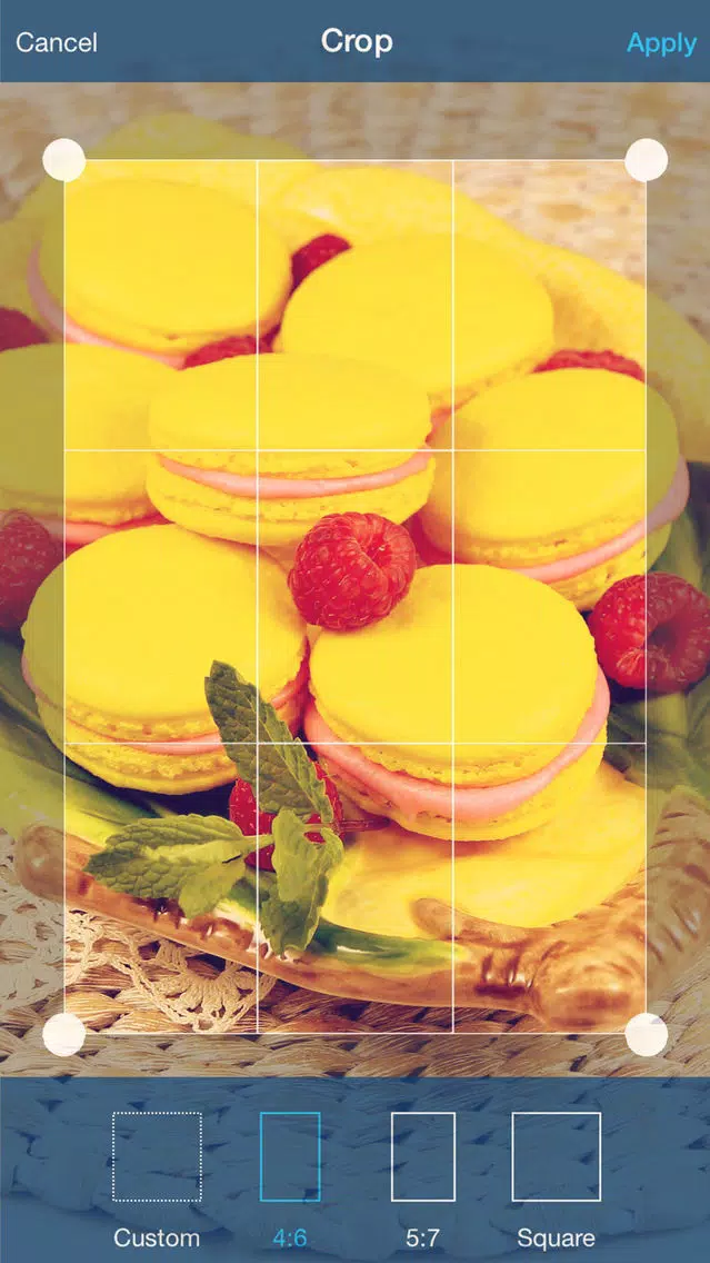 Photomatica Pro Screenshots