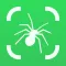Spider Identifier ۬