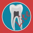 Dental Corpus Primary Lite