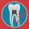 Dental Corpus Primary Lite