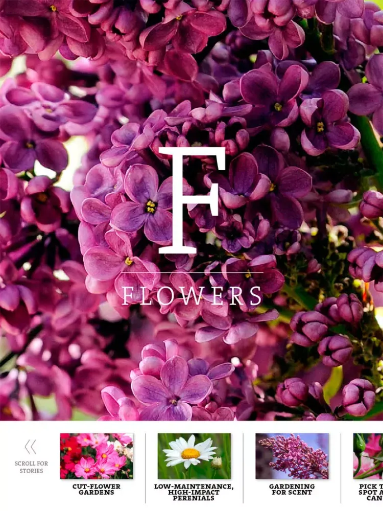 Capturas de pantalla de The Denver Post Garden Colorado iPad 
