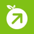 DEONDE - Grocery Delivery DEONDE - Grocery Delivery