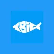 Big Fish - Summerfields Wlm