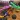 Monster Truck: Truck Games 3D