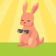 Rabbit Weather Rabbit Weather