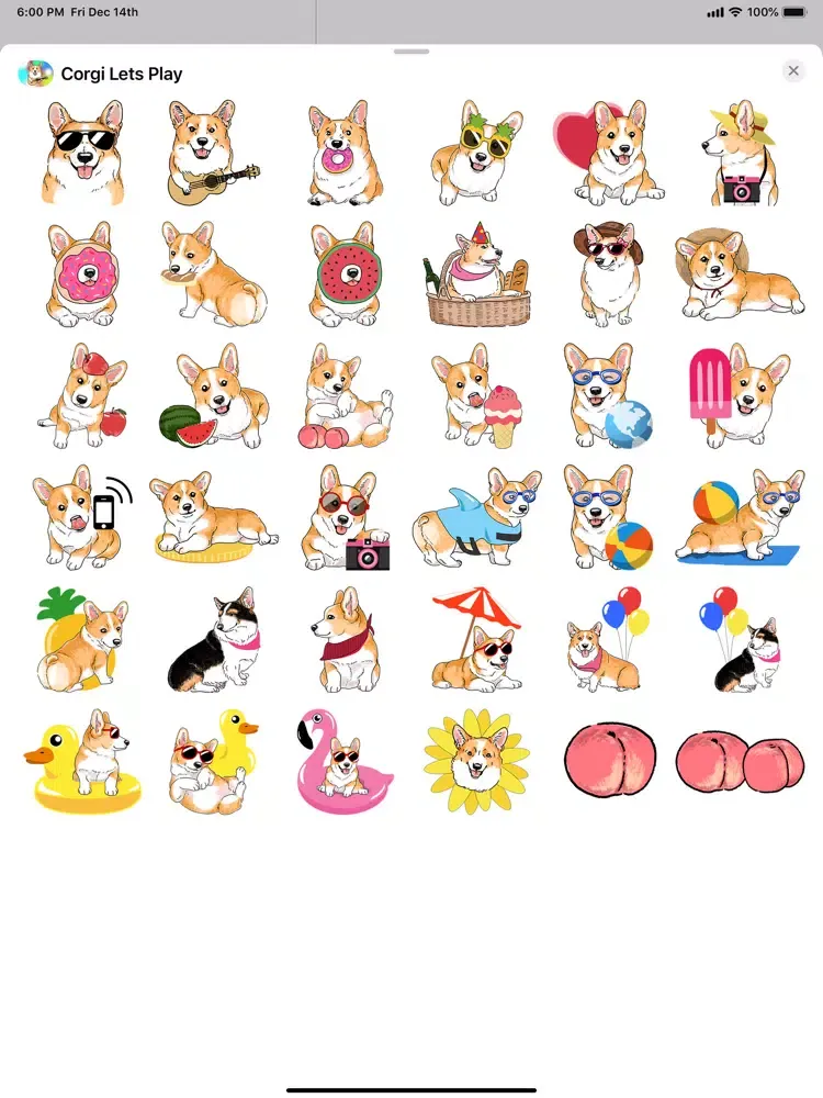 Corgi Let's Play iPad  スクリーンショット