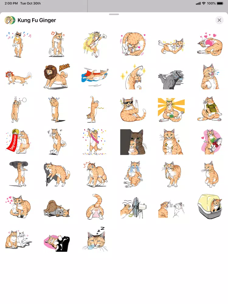 Kung Fu Ginger iPad  Screenshots