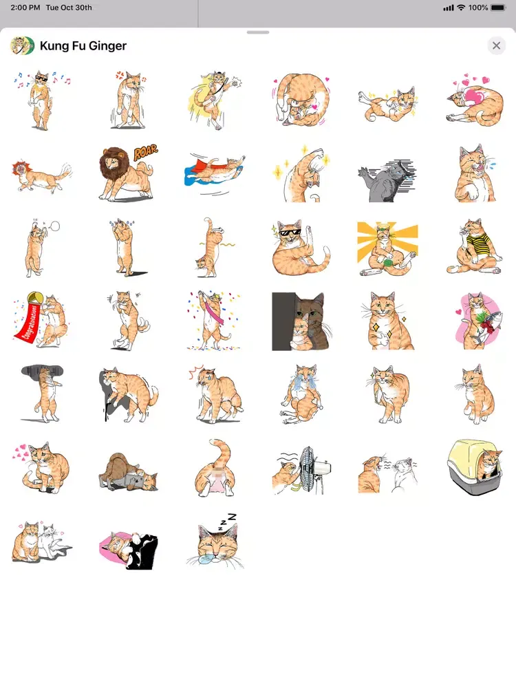 Kung Fu Ginger iPad 应用截图