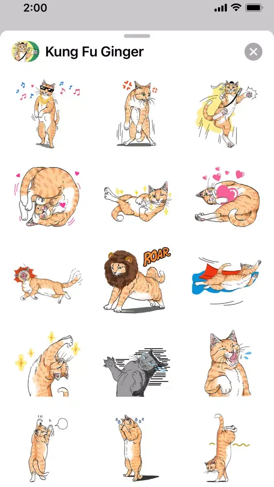 Kung Fu Ginger应用截图