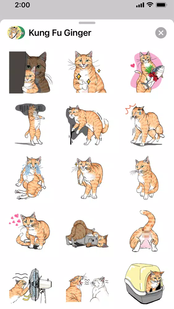 Kung Fu Ginger Screenshots