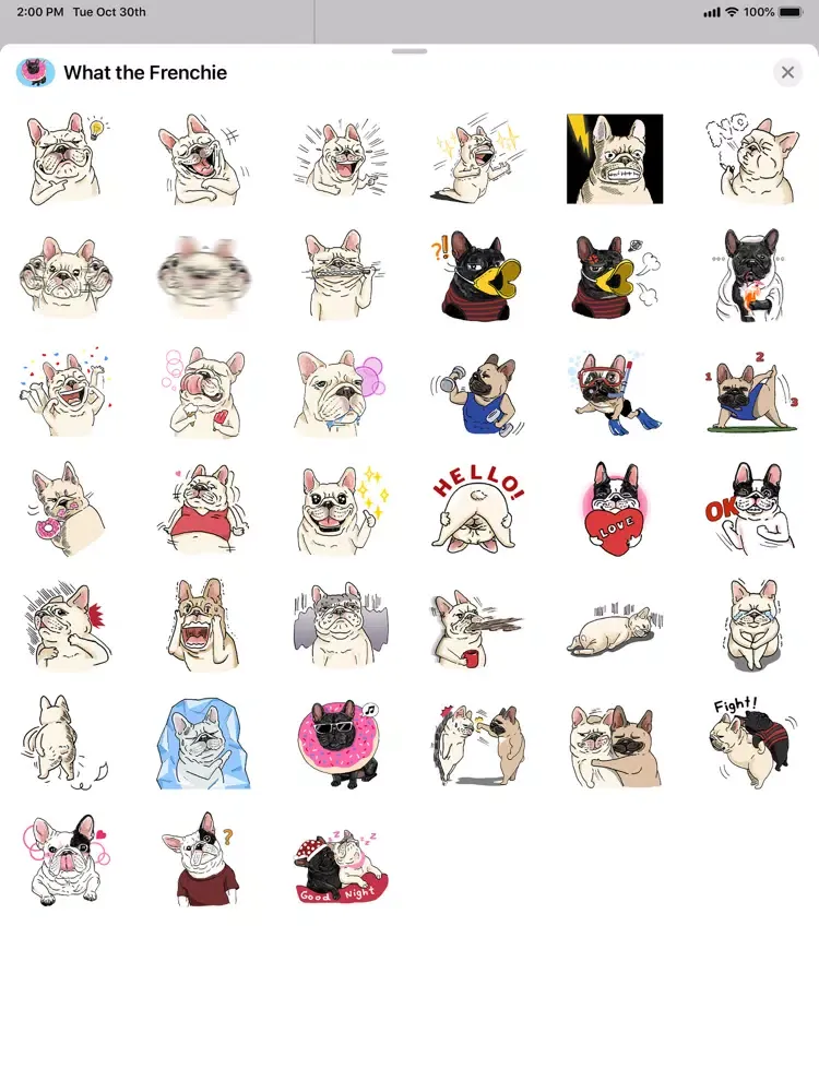 Capturas de tela do What the Frenchie?! iPad 