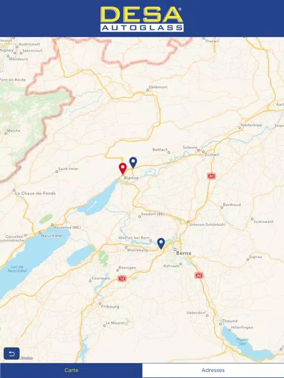 Zrzuty ekranu DESA AUTOGLASS iPad 