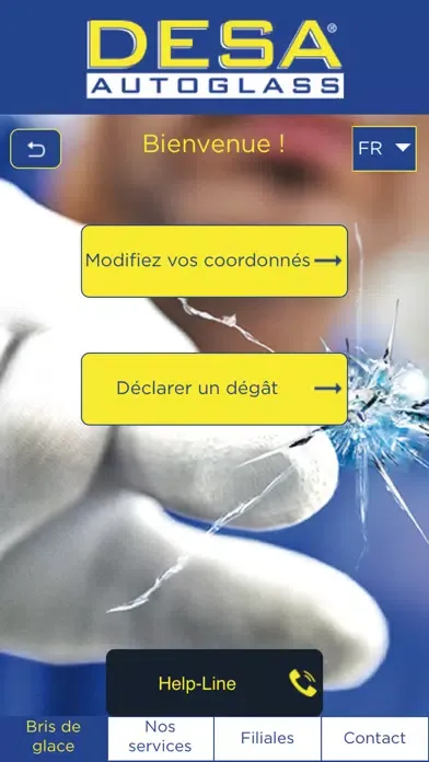 Zrzuty ekranu DESA AUTOGLASS