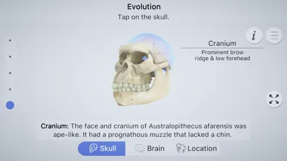 Captures d'écran de Brainapse