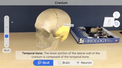 Captures d'écran de Brainapse