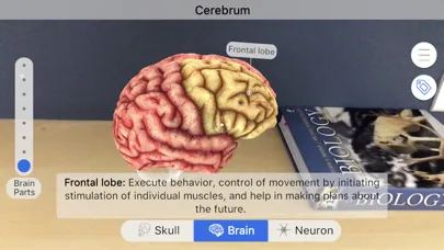 Captures d'écran de Brainapse
