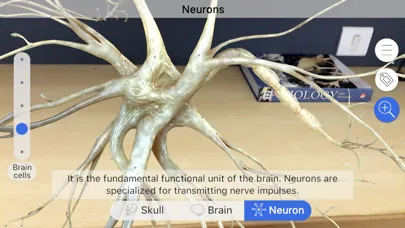 Captures d'écran de Brainapse