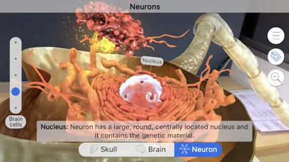 Captures d'écran de Brainapse