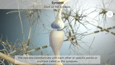 Captures d'écran de Brainapse