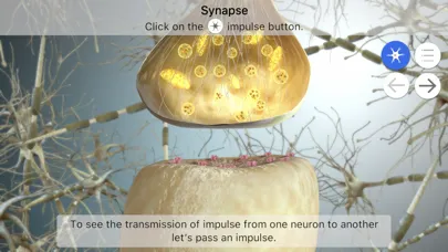 Captures d'écran de Brainapse
